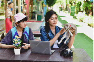 Kursus Social Commerce Hybrid Gunungkidul